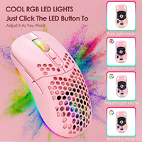Souris sans fil double mode BT 5.0 2.4G, 3 DPI réglables, 7 boutons, rétroéclairage RVB, ergonomique, rechargeable, coque en nid d'abeille, pour jeux