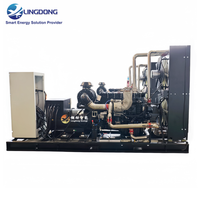 300kW Erdgas Schallgedämmtes Aggregat Preis Hochwettbewerbsfähiges 375kVA Überdachtes Stromaggregat IP23 Schutzklasse für Bauarbeiten