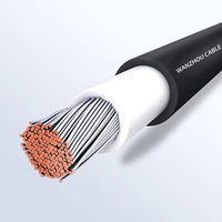 Pour fil solaire isolé XLPO approuvé 4MM-25MM câble d'alimentation en cuivre étamé pour câble PV isolé XLPO à énergie solaire cc