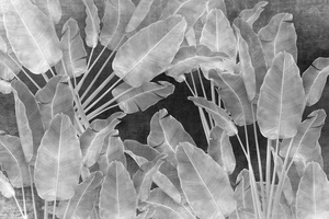 Papiers peints muraux personnalisables sur le thème de la <span class=keywords><strong>jungle</strong></span>, papiers peints à feuilles tropicales - Product Image 5