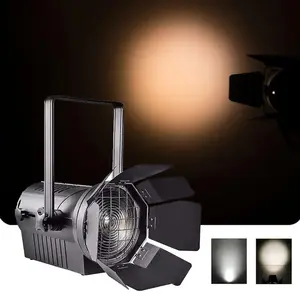 Lumière blanche chaude100W 200W 300W Dmx512 disco dj COB LED Par Light avec projecteur Fresnel pour porte de grange