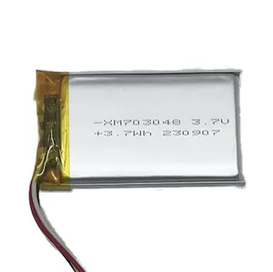 Zuverlässige Bestseller 703048 3,7 V 1000 mAh zylindrische Backup-Strombatterien