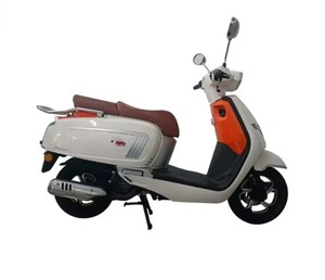 Jialing Motor 2025 nuevo adulto combustible motocicleta combustible bicicleta Motor moda combustible bicicleta - Product Image 1