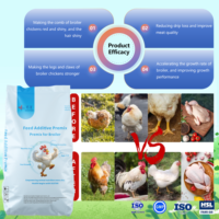 Prémélange Concentré de Croissance Rapide pour Poulets de Chair – Aliment de Démarrage pour Volailles – Vente en Gros