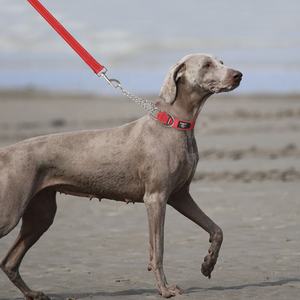 ट्रेनर को मंजूरी दी सीमित पर्ची कॉलर भारी शुल्क Martingale कुत्ते कॉलर के साथ स्टेनलेस स्टील श्रृंखला - Product Image 6