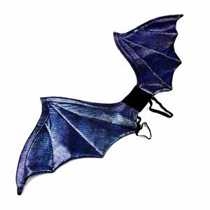 Fournitures de fête personnalisées pour enfants, accessoires de Costume de fête d'anniversaire pour garçons, ailes de dinosaure, ailes de chauve-souris - Product Image 3