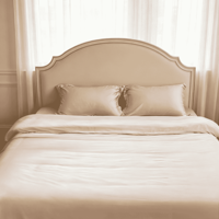 Parure de lit en fibre de Lyocell, anti-rides, soyeuse et lisse, housse de couette de qualité supérieure