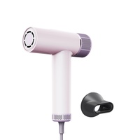 Sèche-cheveux domestique à double entrée transfrontalière Ion négatif sans brosse Mini ventilateur en plastique à grande vitesse Source d'alimentation électrique