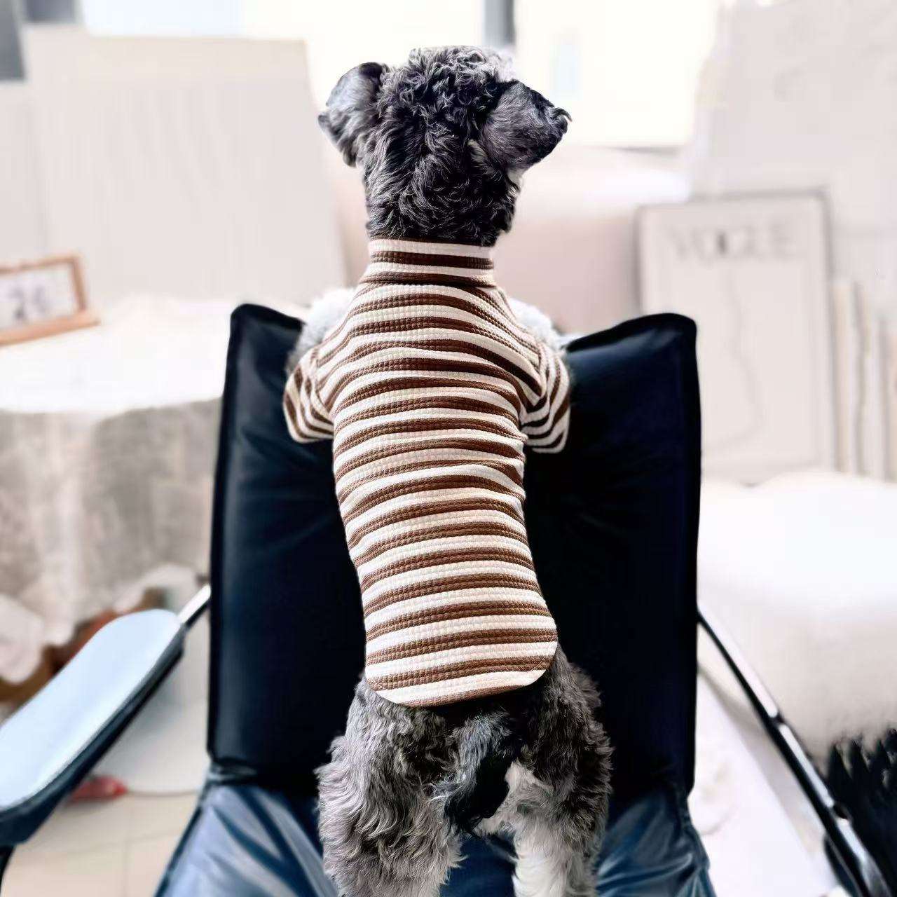 เสื้อเชิ้ตตัวในสีน้ำตาล