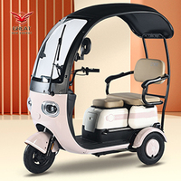 Tricycle domestique 800W, petit scooter à trois places, tricycle réglable pour 3 personnes