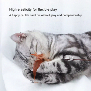 Eco-Friendly Teething Boredom Relief Teaser Sticks Replaceable Mouse Feathers Interactive Entertainment <strong>Seven</strong>-Piece <strong>Cat</strong> Toys Set - Product Image 5