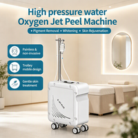 Appareil de beauté professionnel pour le nettoyage du visage, l'éclaircissement et l'anti-âge : Machine à jet d'eau oxygénée sans aiguille pour l'infusion transdermique de sérum