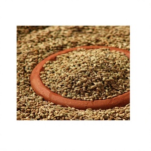 Semillas de Ajwain Indias de Alta Calidad, Semillas de Carom Naturales de Grado Específico para Cocinar, Sazonar y Exportación a Granel - Product Image 5