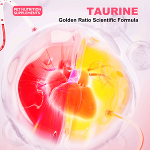 कुत्तों और बिल्लियों में हृदय कार्य का समर्थन करने के लिए ओएम/ओटम पालतू पशु पूरक - Product Image 5