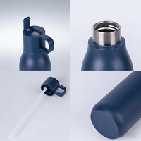 Bouteille isotherme de voyage en acier inoxydable 304 au design moderne, 500 ml, avec poignée portable, bec verseur et couvercle à rabat