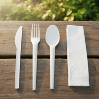 Couverts jetables biodégradables en CPLA sans plastique pour restaurants aériens (couteau, fourchette, cuillère) – Vaisselle compostable OEM
