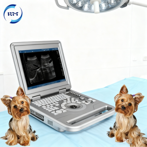 Máquina de Ultrasonido Veterinaria en Blanco y Negro de Alta Sensibilidad con Procesamiento de Imágenes Digitales para Detección de Enfermedades Animales - Product Image 1