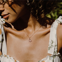 Collier en Zircon cubique, collier circulaire, petit collier plaqué or