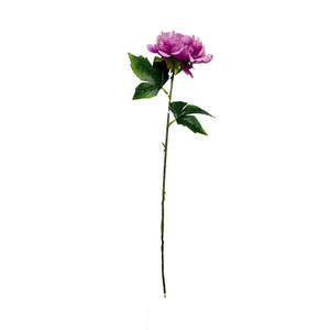 Flor de Peonía Artificial de 60 cm, Flor de Seda para Decoración del Hogar, Accesorios para Bodas - Product Image 5