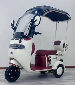 Tricycle électrique fermé à 3 roues avec auvent, moteur sans balais 650W, vitesse maximale 45 km/h, certifié CE - Product Image 5