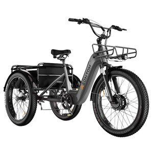 Vélo <span class=keywords><strong>cargo</strong></span> électrique polyvalent à cadre bas 500W 48V avec batterie au lithium 24 pouces - Pour usage familial et professionnel - Product Image 5