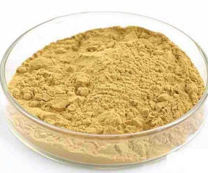 Китайская медицина, трава, экстракт астрагала, здоровая добавка, экстракт корня астрагала, желтовато-коричневый порошок - Product Image 3