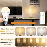 Ampoule LED RGB à télécommande pour décoration de fête, ampoule LED pour utilisation en soirée, ampoule LED E14/26/27, lampe LED, décoration de vacances, ampoule LED rechargeable