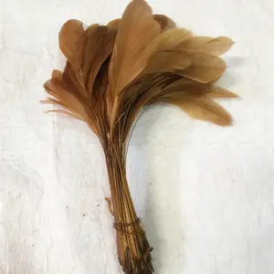 Commercio all'ingrosso Stripped Coque rooster tail feather per la decorazione