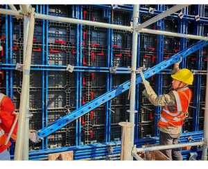 Reusable ABS Plastic Wall Formwork 100+ Times Lightweight Modular Shuttering Alternative to Doka Mirror Finish Concrete Wall - Product Image 4