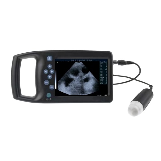 Good Price Model Portable Handheld Veterinary Ultrasound Machine Ultrasound Scanner with One Mechanical Probe Monitoring Devices