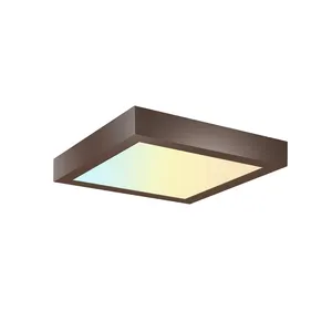 2022 Modern Design 5cct Bathroom Kicken Bronze Led Ceiling Light 9 Inch Recess Light Fixtures Ceiling
