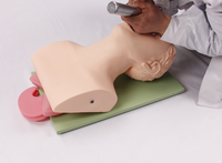 Modèle anatomique d'entraînement pour adultes, modèle médical de gestion des voies respiratoires en PVC pour les écoles YULIN YL-326-1 CE/ISO