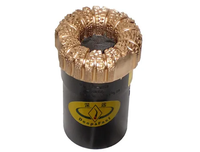Foret à noyau polycristallin thermiquement stable DPC pour le forage de formations abrasives