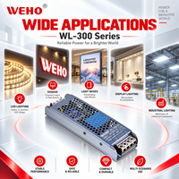 WEHO 300W Driver LED Compact 12V 25A 24V 12.5A Alimentation AC-DC pour Éclairage Architectural Linéaire