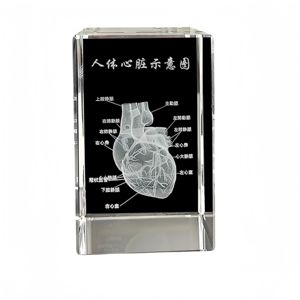 Fabricante personalizado K9 cristal 3D corazón humano modelo grabado con láser hogar Oficina decoración cardiología regalo - Product Image 2