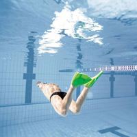Nuevo tamaño 36-37 Llegada Soporte Imprimir logotipo Color personalizado Hoja corta Aletas de esnórquel Piscina Entrenamiento Flipper Aletas de natación