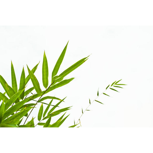 Горячие продажи медицинских добавок чистый натуральный органический экстракт листьев бамбука порошок - Product Image 2