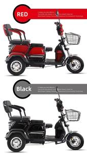 Triciclo de Pasajeros, Motocicleta de 3 Ruedas, Carrocería Abierta, para Adultos, Motorizado, 60V 600W, Carga Útil de 200-300 kg, 30-50 km/h - Product Image 2
