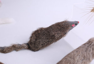 Jouet pour chat en peluche personnalisé 2026, jouet pour animaux de compagnie, vente en gros, mini jouets amusants, jouet pour chat <span class=keywords><strong>souris</strong></span> - Product Image 4