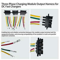 Module de charge triphasé certifié IATF16949, faisceau de câblage de sortie, assemblage de câbles à courant élevé pour chargeur de véhicule électrique