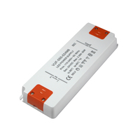 Alimentation LED AC 110V 220V vers DC 12V 24V 2A 45W 48W 50W avec certification SAA RCM Classe 2, transformateur pour module LED