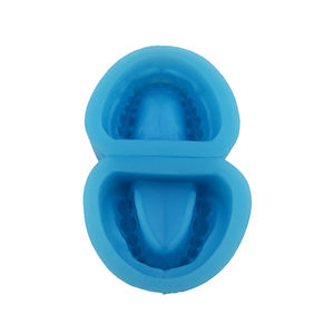 Full Arch Dental <b>Silicone</b> <b>Rubber</b> Mold Full Dentition Mold of Holostomatous Teeth Model - Product Image 2