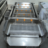 Continue bubbelwasmachine voor groenten en fruit, multifunctionele verwerkingsapparatuur