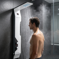 Panneau de douche mural de luxe en acier inoxydable poli avec jets de massage en cascade, pour appartement, hôtel, villa, style moderne et doux