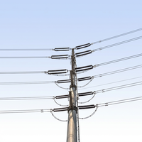 Tour monopôle en acier Q355B galvanisé à chaud 110 kV double circuit OEM pour ligne de transmission d'énergie