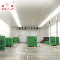 Chambre froide complète stockage à froid oignon chambre froide réfrigérateur congélateur