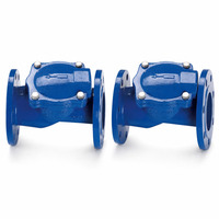 Clapet anti-retour à bride en fonte ductile PN16 pour conduites d'alimentation en eau et de protection incendie
