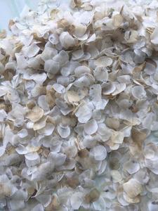 Prise de collagène de poisson secs, échelle de poisson séché, meilleure qualité, échelle de poisson en solde, 84587176063 - Product Image 2