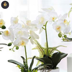 M069 ขายส่ง<span class=keywords><strong>Dendrobium</strong></span> Cattleyaกล้วยไม้พืชผ้าไหมที่เก็บรักษาไว้สีขาวPhalaenopsisกล้วยไม้หม้อประดิษฐ์กล้วยไม้ในหม้อ - Product Image 4