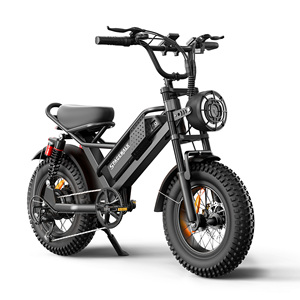 Bicicleta Eléctrica Infantil de 750W con Neumáticos Anchos, Bicicleta Eléctrica de Montaña, Venta al por Mayor en Almacén de EE. UU., Mini Bicicleta Eléctrica para Niños, Lista para Dropshipping - Product Image 2